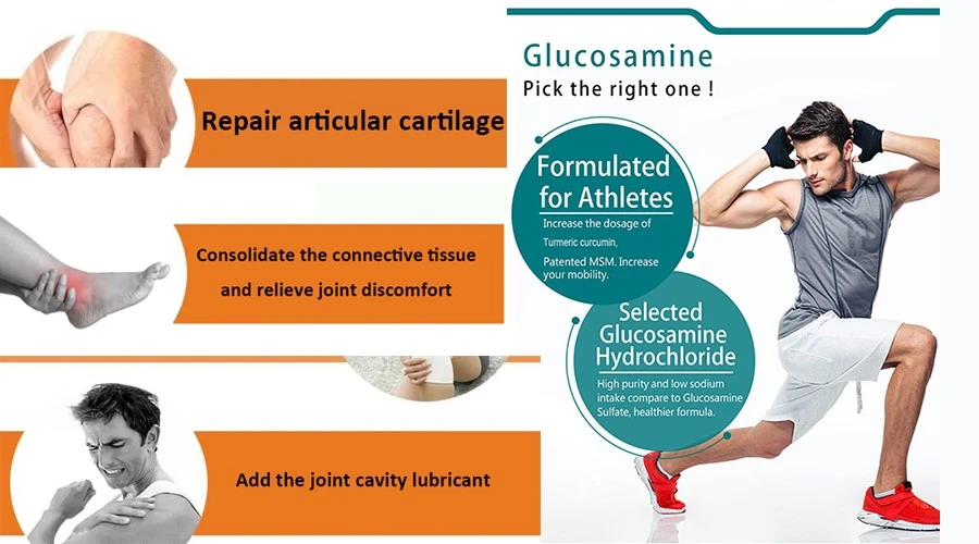 Glucosamine chondroitin msm capsules Glucosamine chondroitin msm capsules