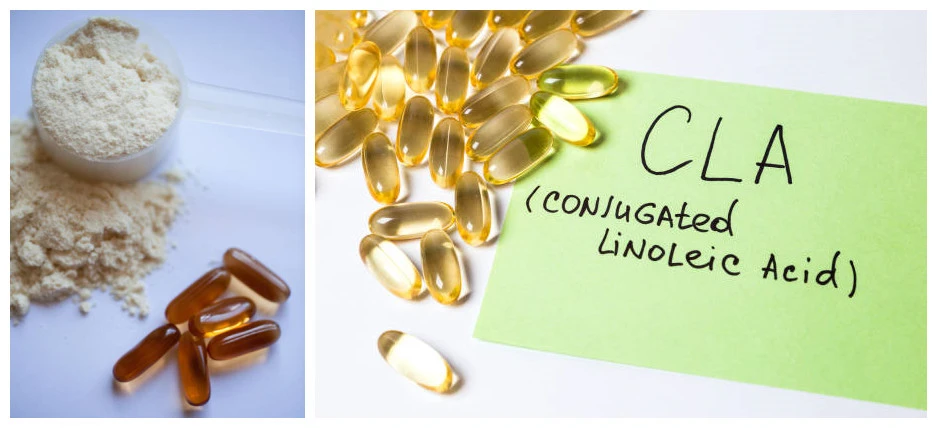 CLA Softgels CLA Softgels